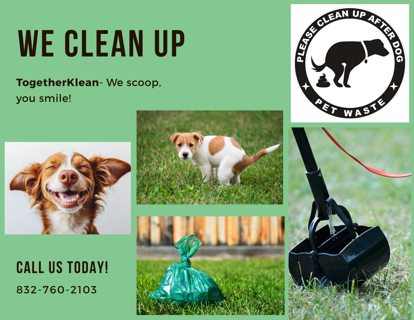 Pet waste removal