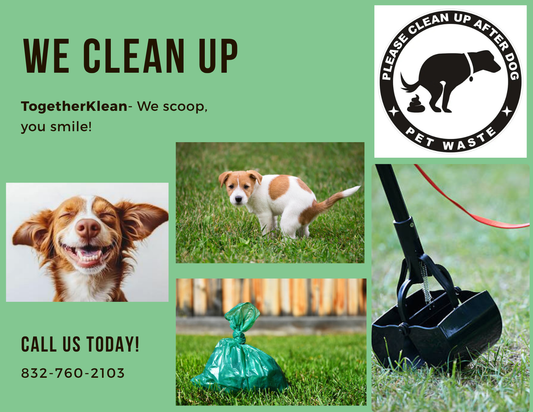 Pet waste removal